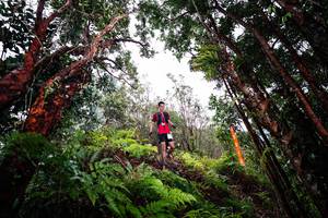 BIB: 
                            <button type="button" onclick="openModal(26201631)" class="btn btn-primary btn-sm float-right btn-popup" data-toggle="modal" data-target=".modal-high-quality">
                        <i class="fas fa-shopping-cart"></i> Add to Cart
                    </button>
                                            <button type="button" onclick="isThisMe(26201631, true)" class="btn btn-success btn-sm float-right btn-popup btn-isme hidden" data-toggle="tooltip" data-placement="bottom" title="นี่คือรูปของคุณใช่ไหม คลิกที่นี่เพื่อเอาเข้าอัลบั้ม">
                        <i class="fas fa-plus"></i> Add to album
                    </button>
                    <button type="button" onclick="isThisMe(26201631, false)" class="btn btn-warning btn-sm float-right btn-popup btn-isnotme hidden">
                        <i class="fas fa-ban"></i> Remove from album
                    </button>